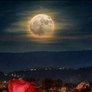 Meet your Posher, Apolonio